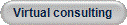 Virtual consulting